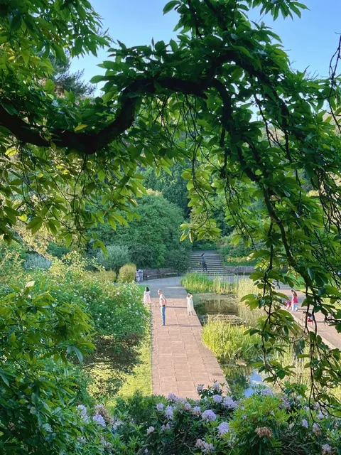London Early Summer, The Deep Green Materializes at This Moment 🍃