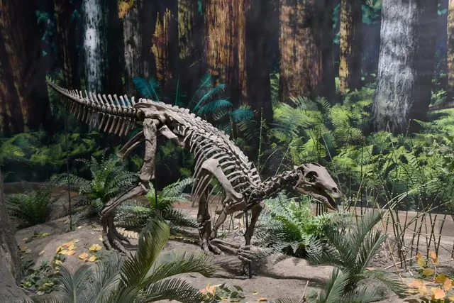 Glimpses of the "Dinosaurs in Their Time" Exhibit at Carnegie Museum o