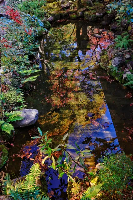 🍁 Iwatō Momiji Shrine + Takao Sanji + Kifune Shrine