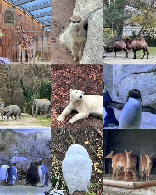 Munich | Sunday Hangout Spot