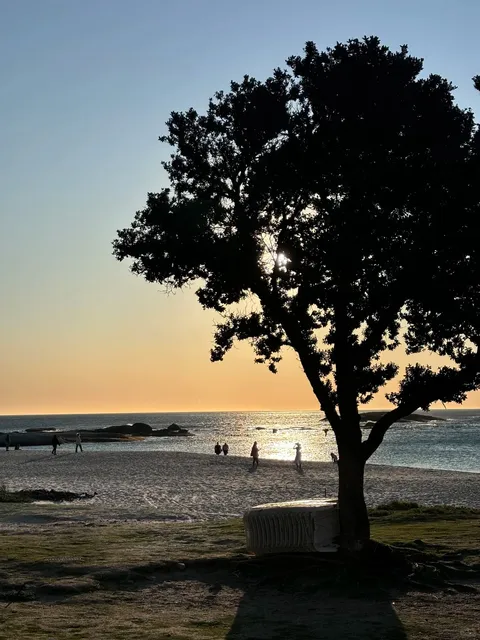 Camps Bay, the movie-set-worthy affluent neighborhood of Cape Town