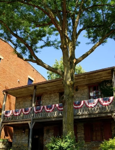 Dowling House: A Historic Old Home