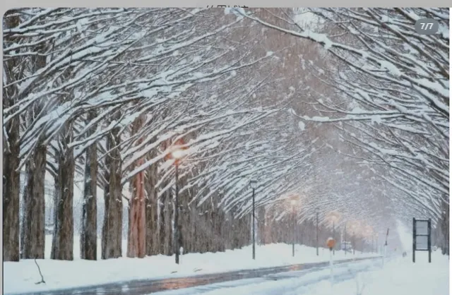 🌸🌺 Japan's Hidden Travel Gems 🌿🍃