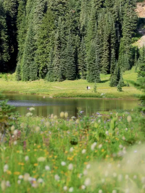 Seattle 🏔️ North America has its own “Altay”