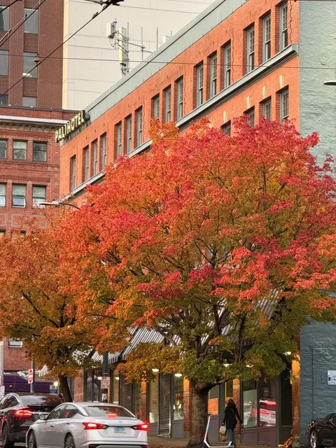 🇺🇸 Seattle Solo Trip: 5 Days of Rain, Beauty & Surprises