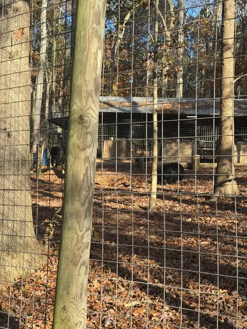 🐘 Must-Visit Wildlife Spot Near Atlanta 