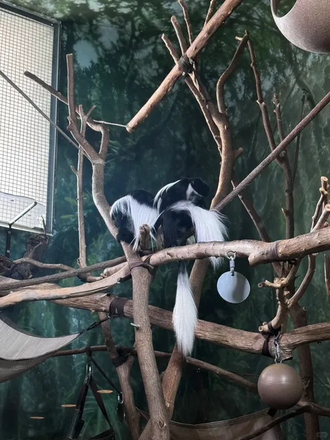 🇺🇸 Chicago One-Day Itinerary