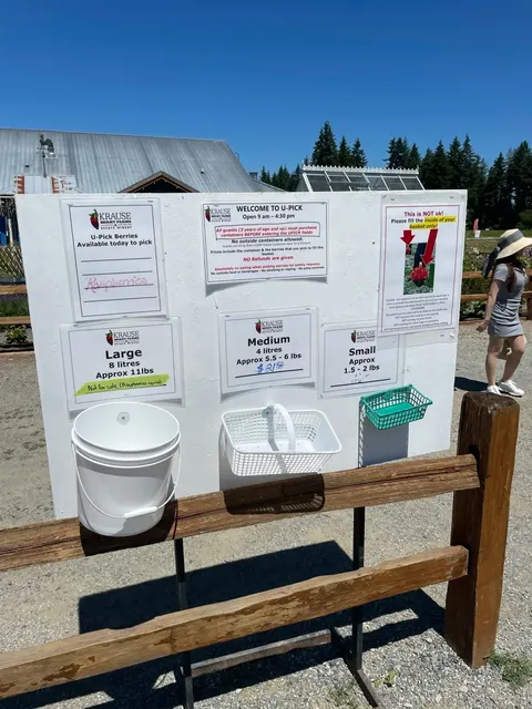 Raspberry Picking Adventure in Langley!🍇✨  