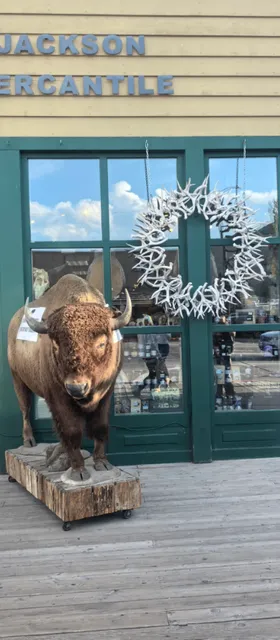 Jackson Town: Where Simplicity Meets Beauty  