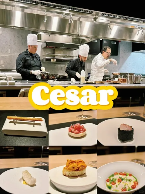 New York Cesar | Former Cheftable Chef👨‍🍳