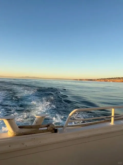 🇺🇸 LA 🏝｜Long Beach Whale Watching Tour – So Breathtaking! 🐬✨