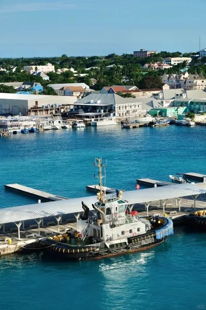 🌟 Disney Wish Cruise Review – 2 Adults, 0 Kids, Total Victory! 🚢