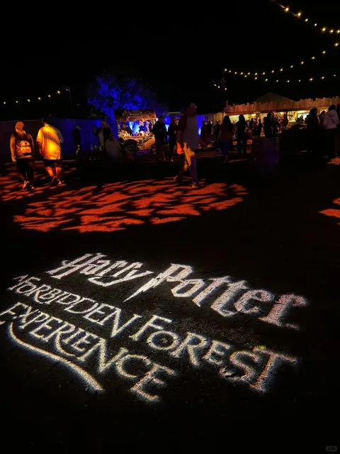 Super fun! Around Austin, the Harry Potter Forbidden Forest experience