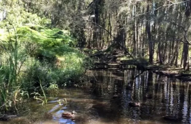 🏖️ Eddie Santagiuliana Way, Cleveland 🚴‍♀️