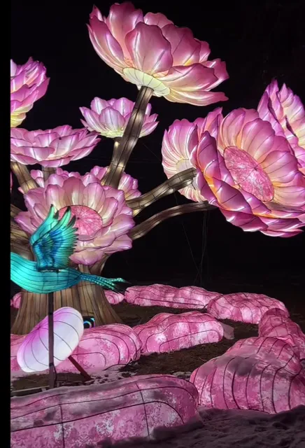 New York New Year Lantern Festival🏮