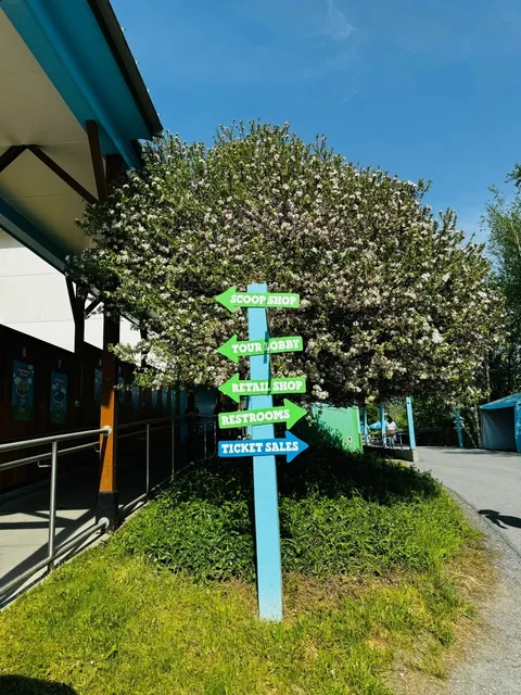  A Perfect Day Trip to Burlington, Vermont! 🚗🍁