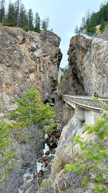 Roaming around national parks 🤣