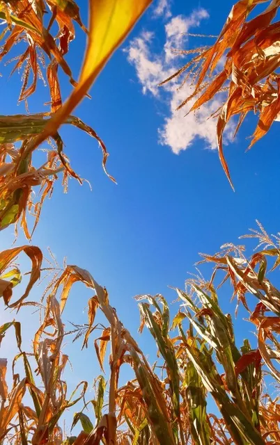 🍎 Soergel Orchards - Pittsburgh's Ultimate Autumn Adventure! 🍂