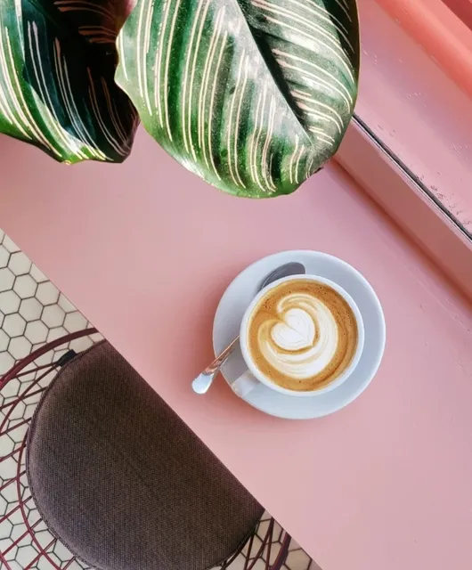 Iceland Coffee Shop Guide (Ring Road Edition)