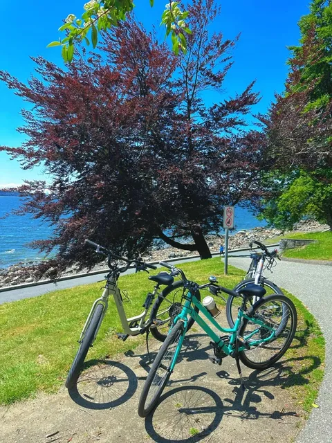 🚴♀️🌳 Stanley Park Bike Adventure in Vancouver! 🌞🇨🇦