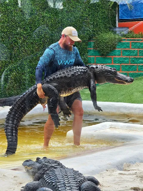 🐊 Everglades National Park