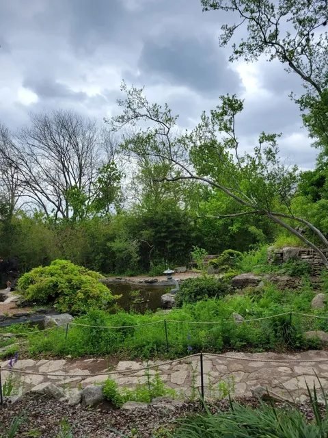 Texas Isn't Just Big—It's Brilliant