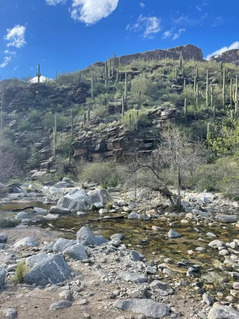 Arizona Tucson: Seven Falls Hiking Guide 🏞️🥾