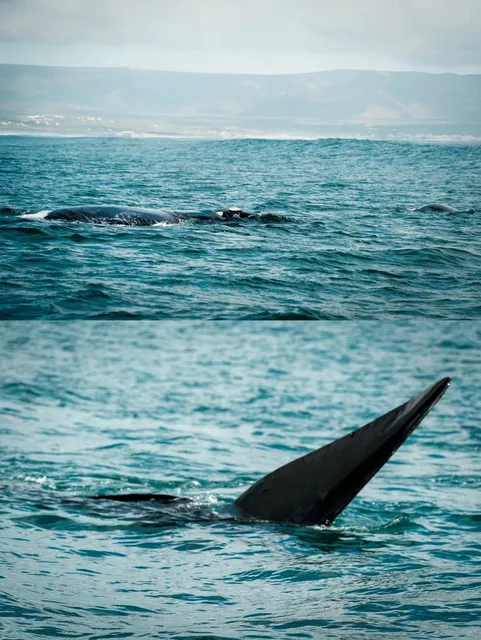 🇿🇦 Shanghai Office Worker’s Weekend Escape