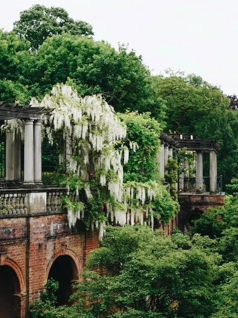 🇬🇧 Hampstead Heath: London's Secret Wild Wonderland 🌳🦌✨  
