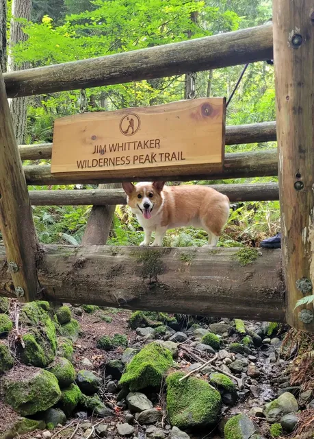 Seattle Outdoors | Jim Whittaker Wilderness Peak