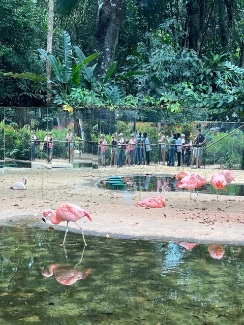 Iguazu Travel Guide(part 2)