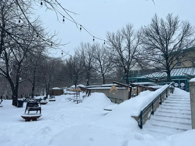 🇨🇦 Winnipeg ·