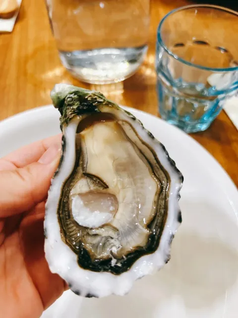 Marseille Old Port Seafood Restaurant! A Must-Visit for Oyster Lovers 