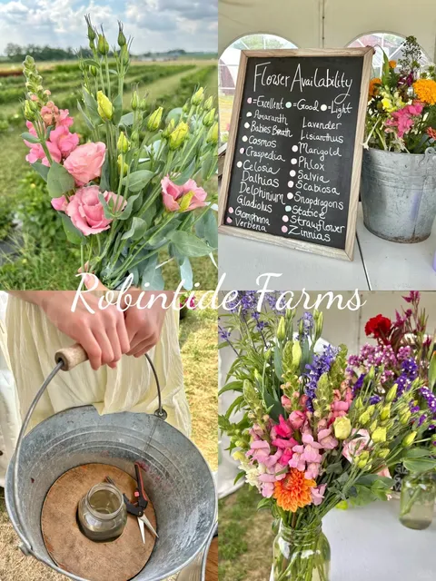 Robintide Farms - reviews,open hours,photo spots,things to do ...