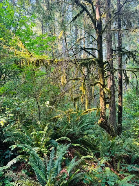 Seattle with Kids | Hidden Hiking Trails in Woodinville