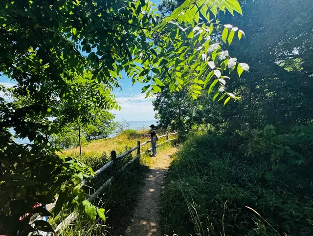 🇨🇦 Lakeside BBQ + Scenic Hike + Board Game Fun =🌞🔥