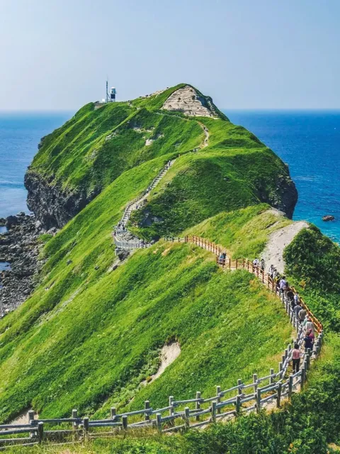 Summer in Hokkaido 🌿 Sapporo, a Poem of Nature