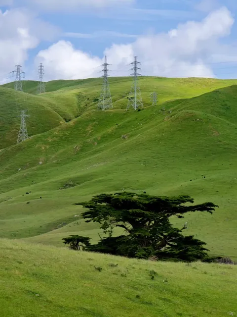  Wellington Hiking | Tawa Spicer Forest Loop 🌳  