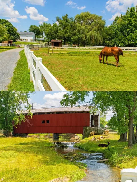 💐🚗 NY Getaway: Amish Farms + Rose Gardens! 🌾🌹