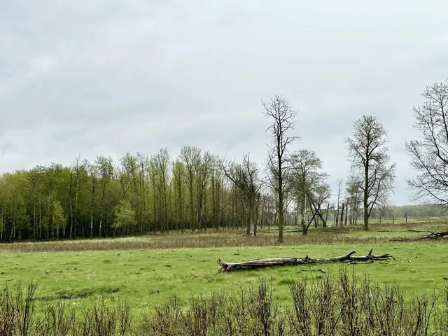 🌲✨ Elk Island National Park Adventure! 🦌🌿