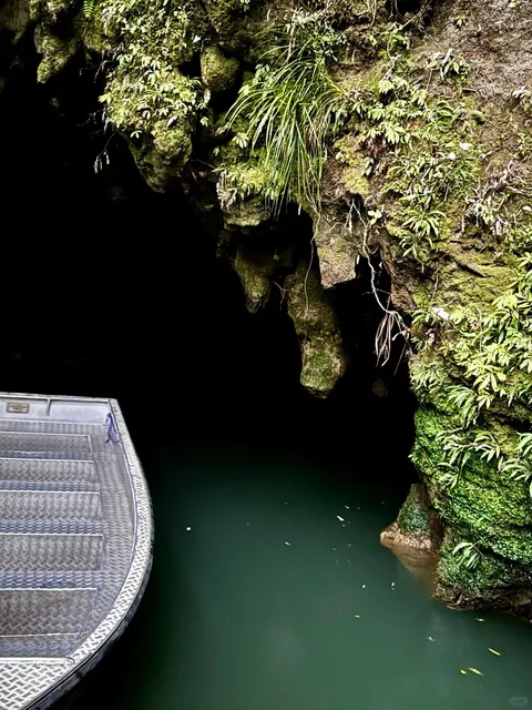 🇳🇿 Auckland Day Trip for Students | City Roundtrip 🚗