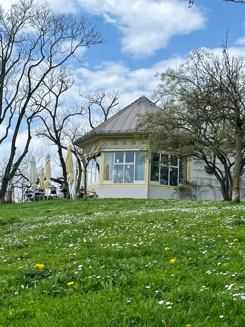 ​​🌸 Graz's Hidden Fairy Tale Café: A Serendipitous Discovery ☕✨​​