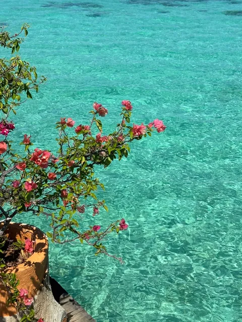 🏝️ Fiji vs. Semporna vs. Phuket: The Ultimate Island Showdown! 🌊✨