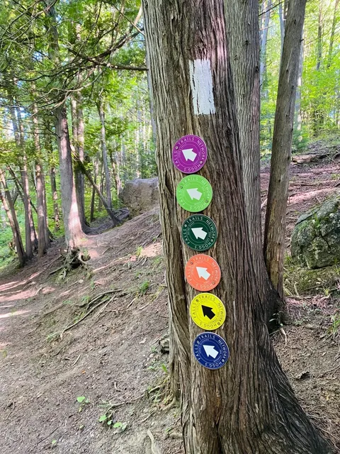 Hogg's Falls to Eugenia Falls (Beaver Valley Section)​​ 👣