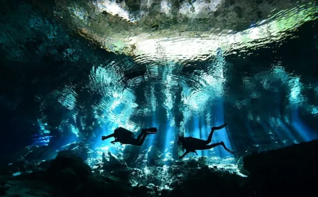 Cenote Diving in Dos Ojos, Cancún 🇲🇽