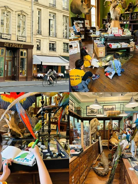 Painting at a Century-Old Shop in Paris｜My Top Hidden Gem for Kids 🐆