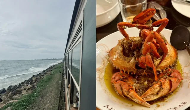 ​​Colombo in One Day: The Ultimate Transit Guide​​