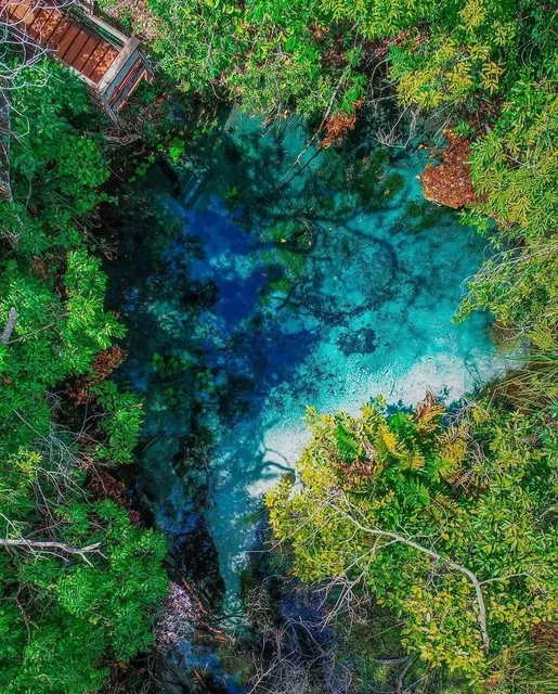 Bonito: Brazil’s Unmissable Paradise