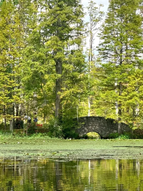 Charleston Travel Guide | The Most Charming Southern City in the U.S