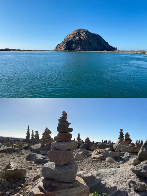  Morro Bay Half-Day Photo Safari